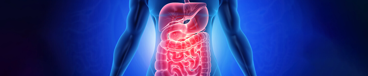 Intestinal Microbiota