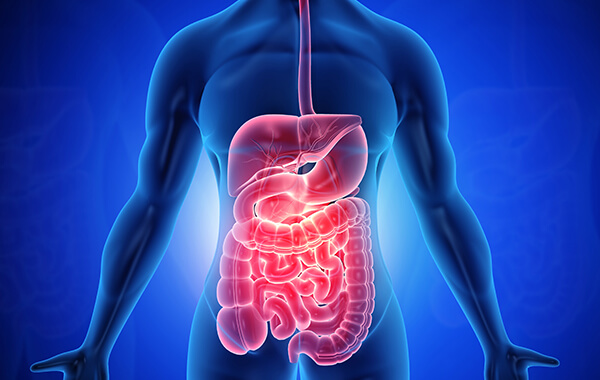 Gastrointestinal Sistem Hastalıkları